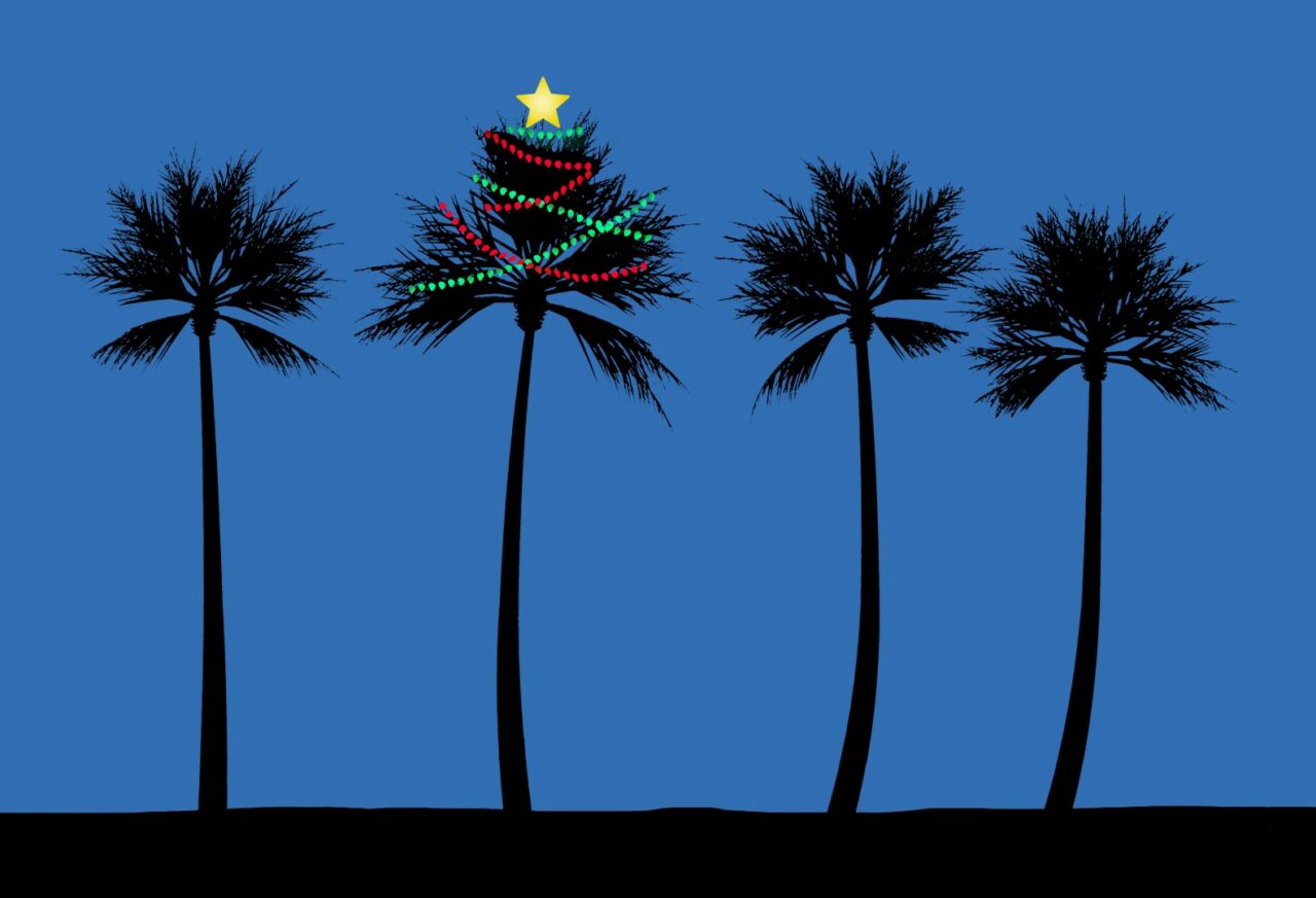 A palm tree is decorated for Christmas on a beach in a tropical