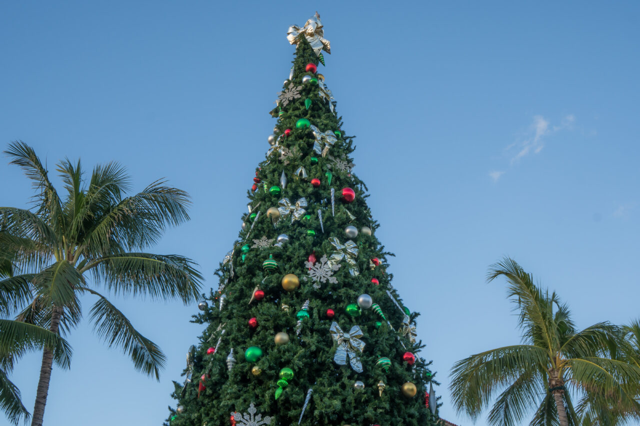 Christmas tree with palm trees