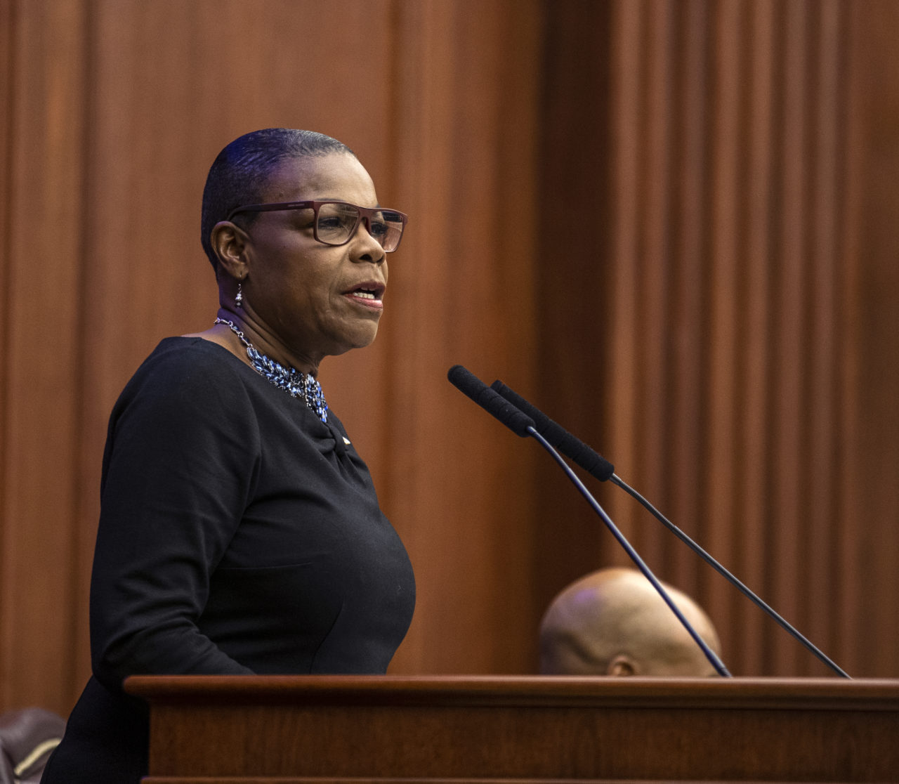 The Florida Senate Democratic caucus met to elect Sen. Audrey Gibson  (D-Jacksonville) as the Democratic leader during the 2019 and 2020 legislative sessions