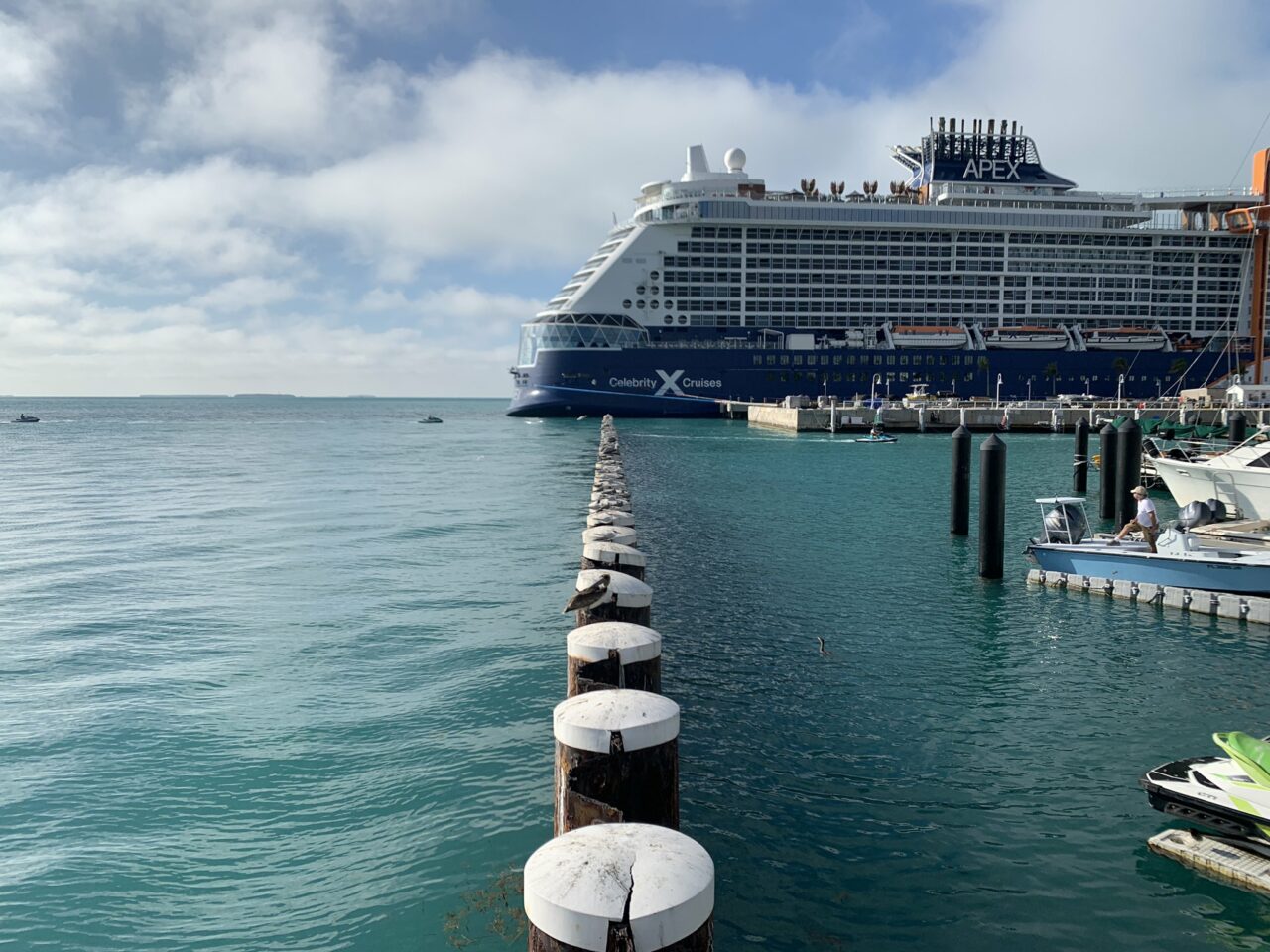 Key West Celebrity Encroaching