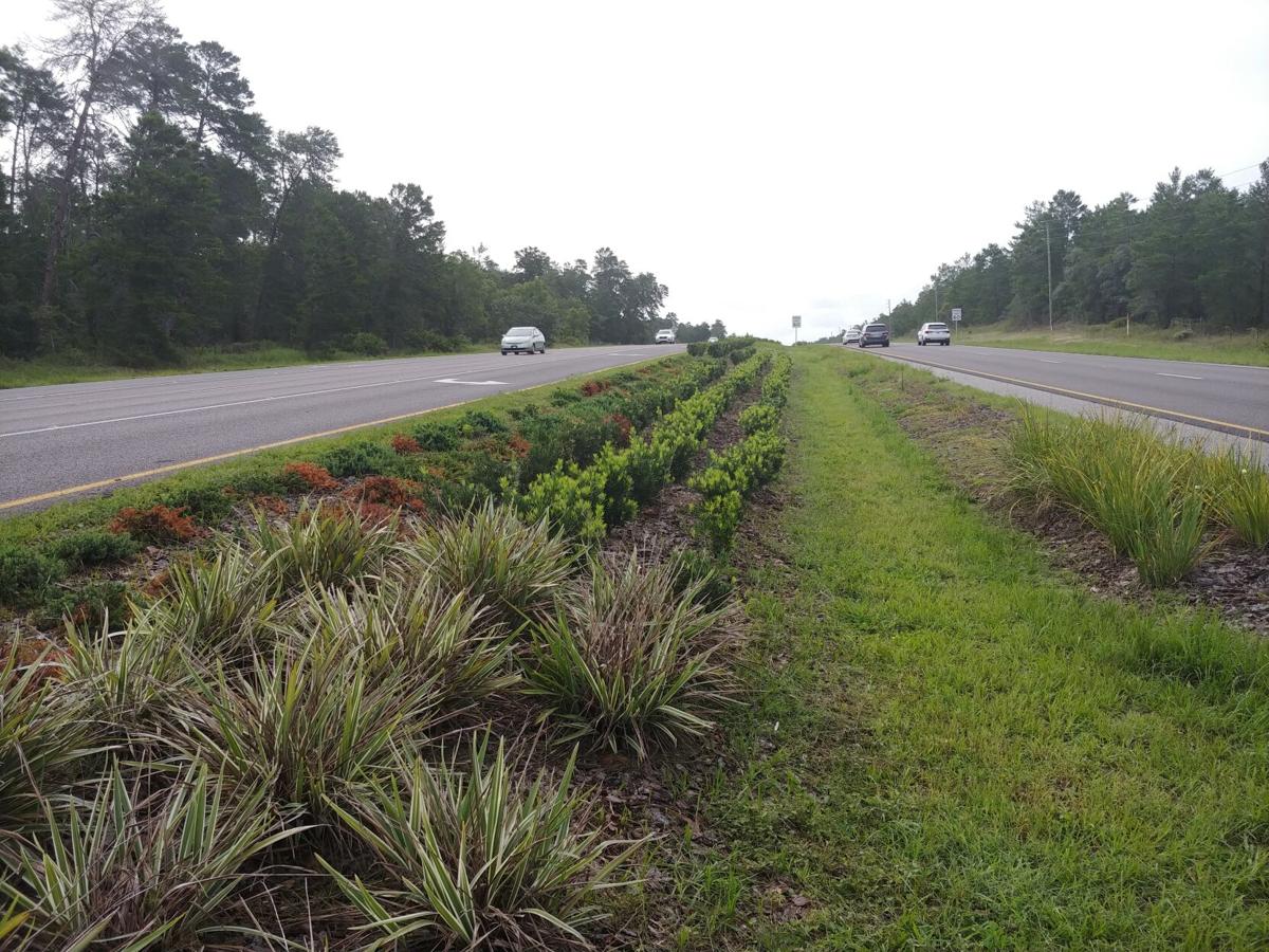 oak-village-median.jpg