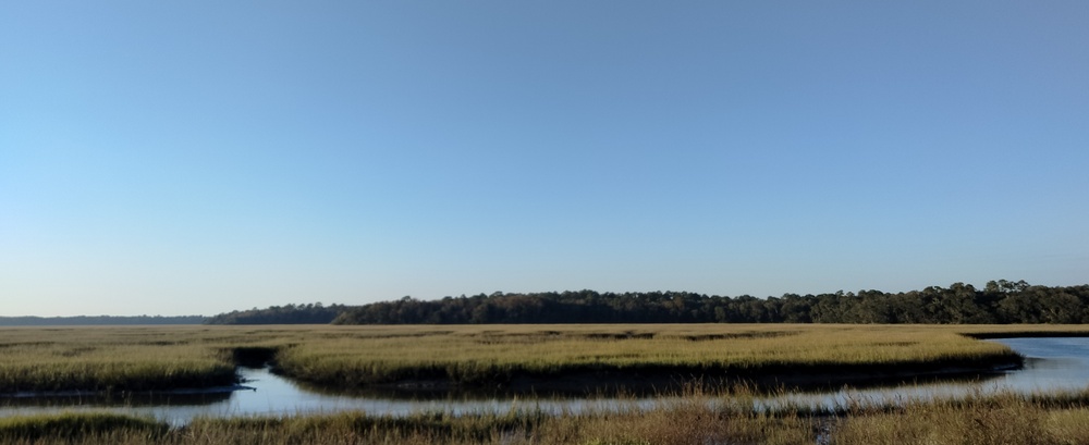 marsh talbot islands