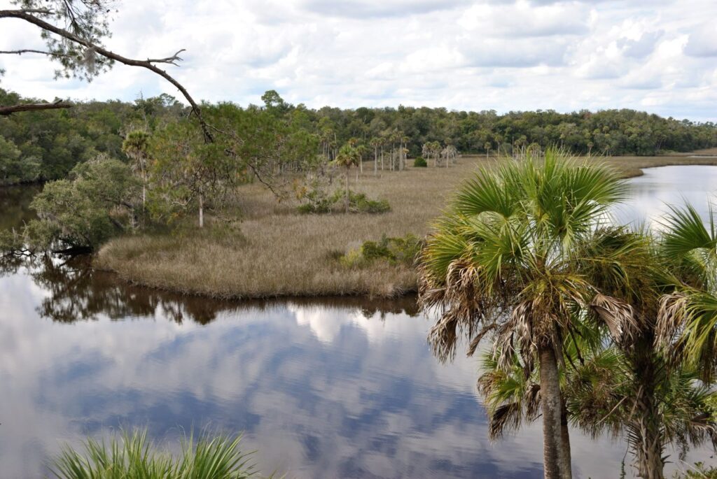 spruce-creek-2-from-save-spruce-creek-website-1024x685-1.jpg