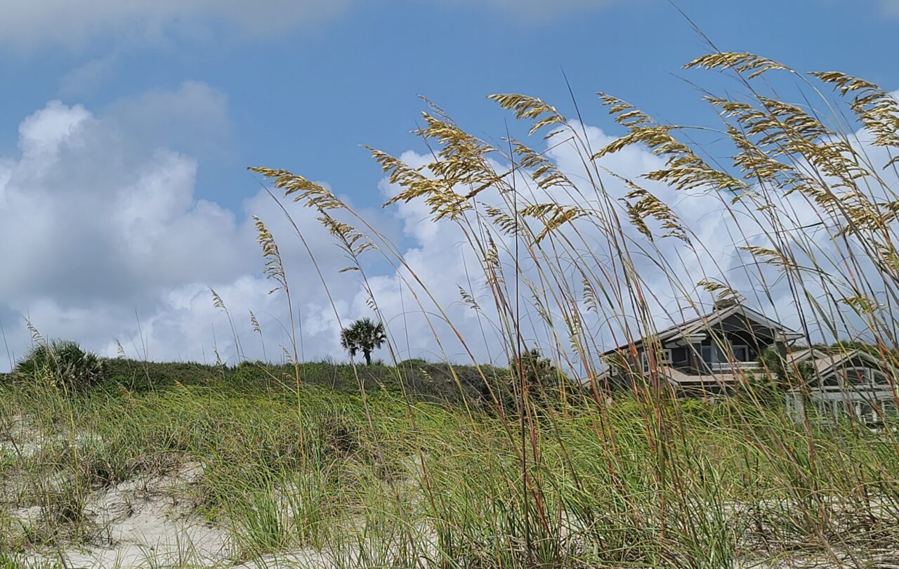 amelia island south