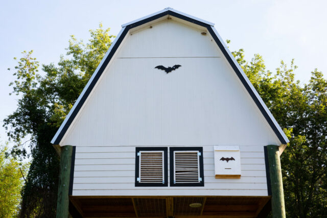UF Bat House Photo 4