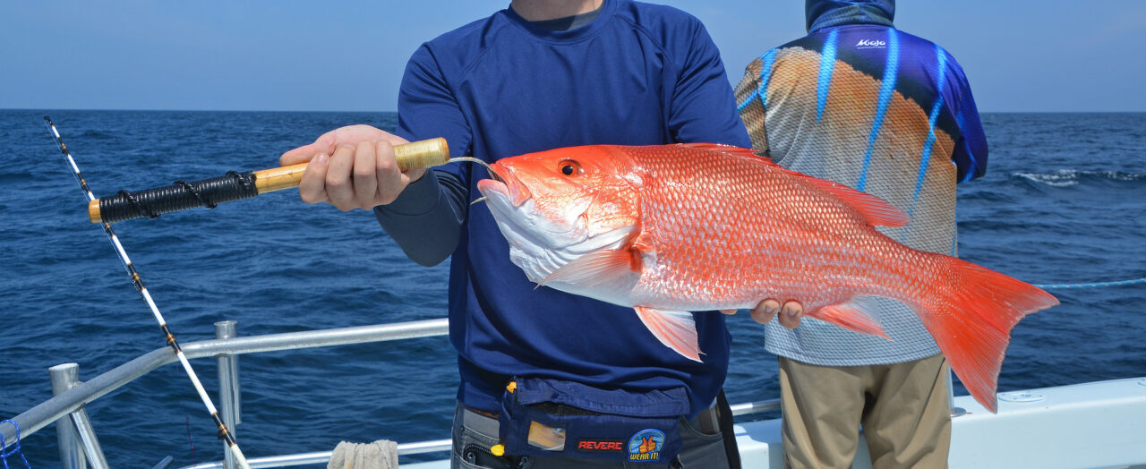 Atlantic Red Snapper