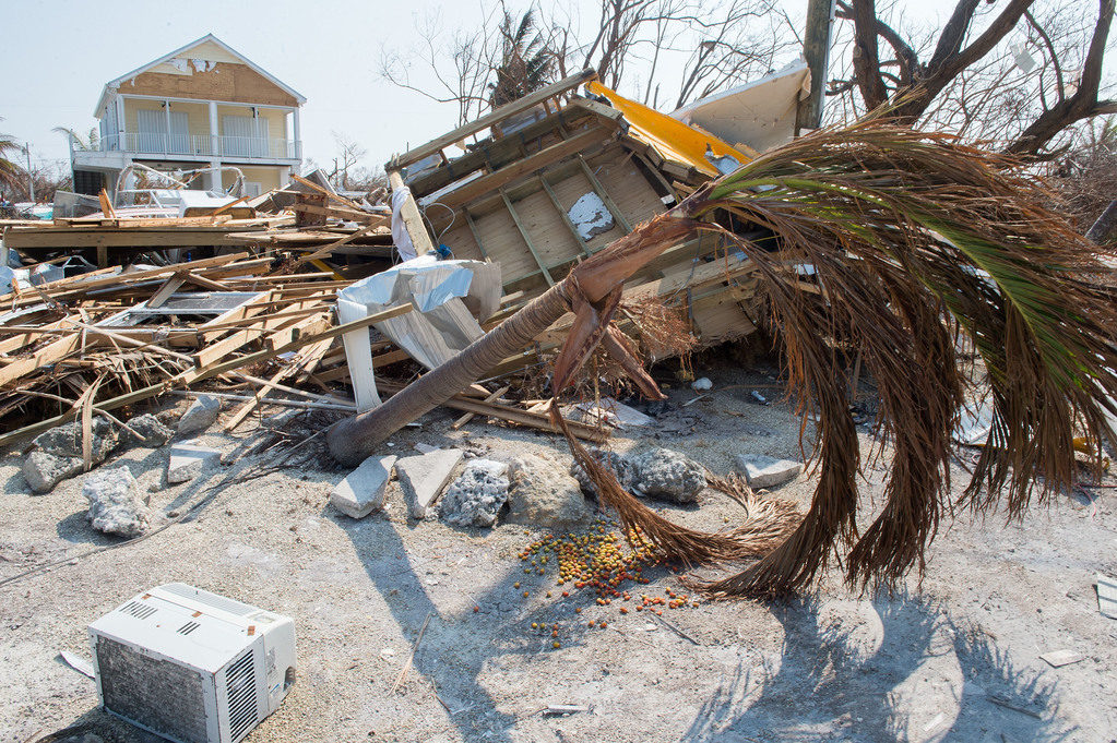 FEMA_-_DSC7043_-Big_Pine_Key_neighborhood_devastated_by_Irma.jpg