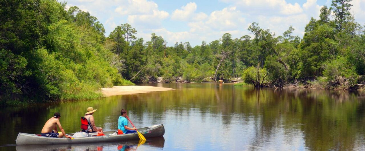 blackwater-river-state-park-1280x530.jpg