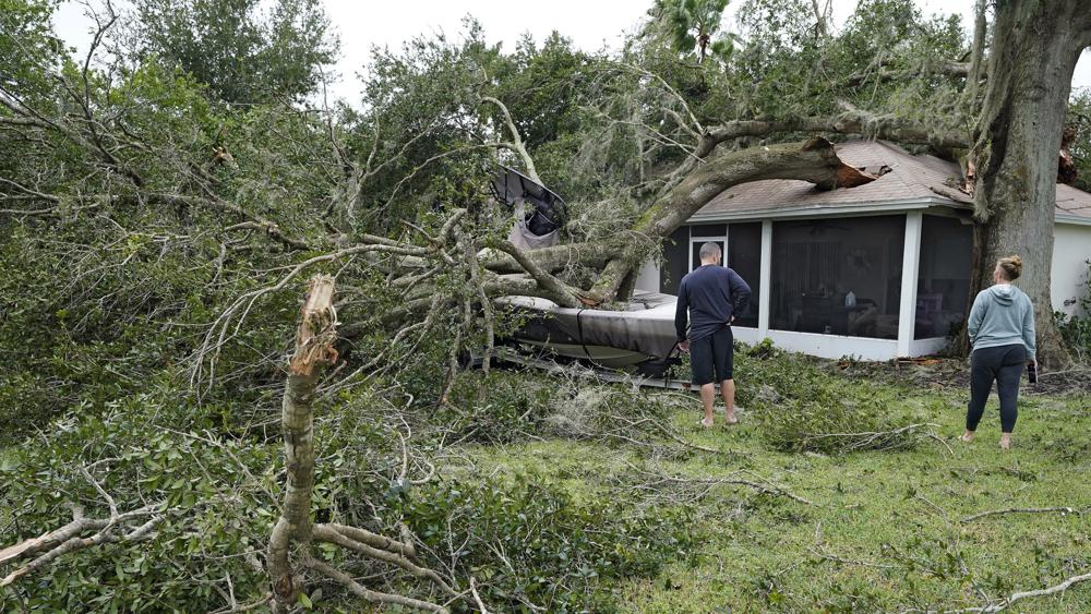hurricane ian aftermath tree house