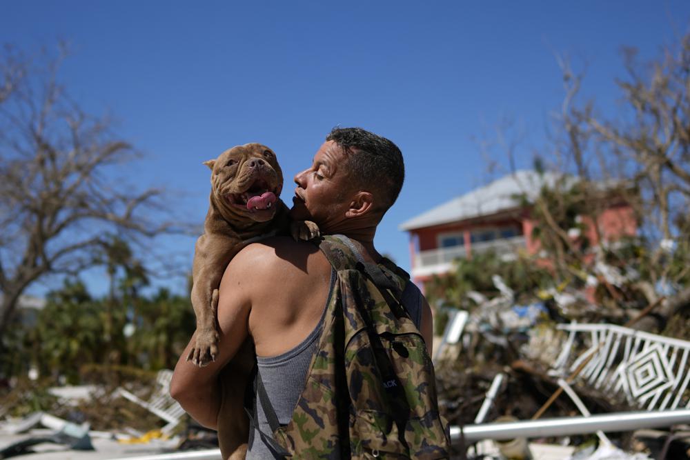 dog hurricane ian