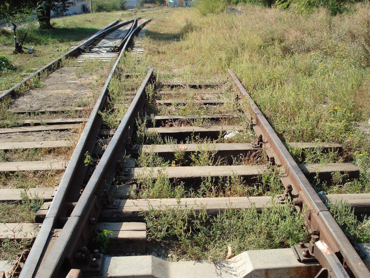 wrong path wrong track train track
