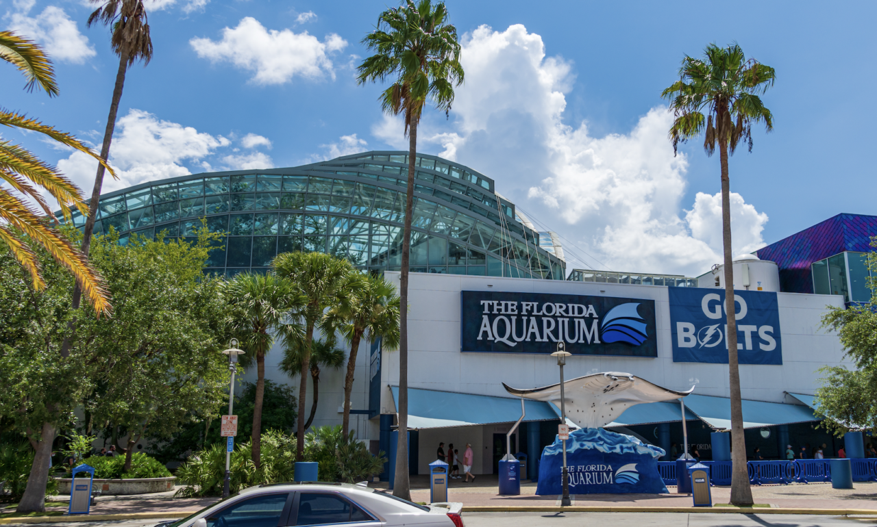 Florida Aquarium