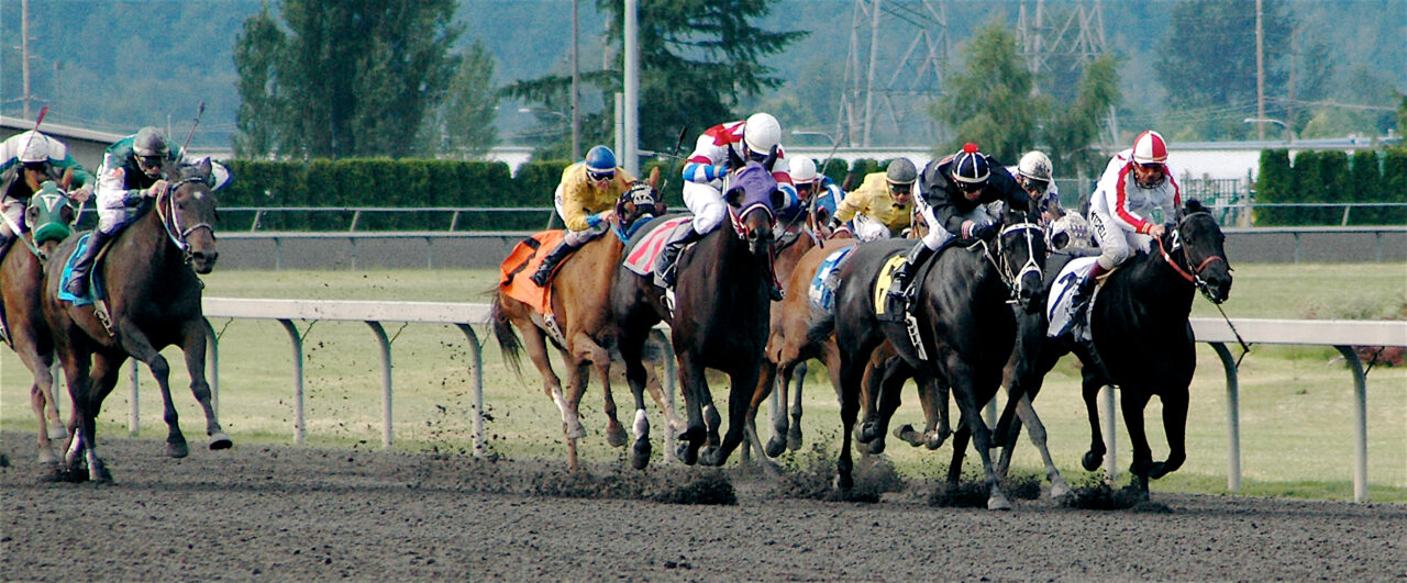 horse-race-1-1280x531.jpeg