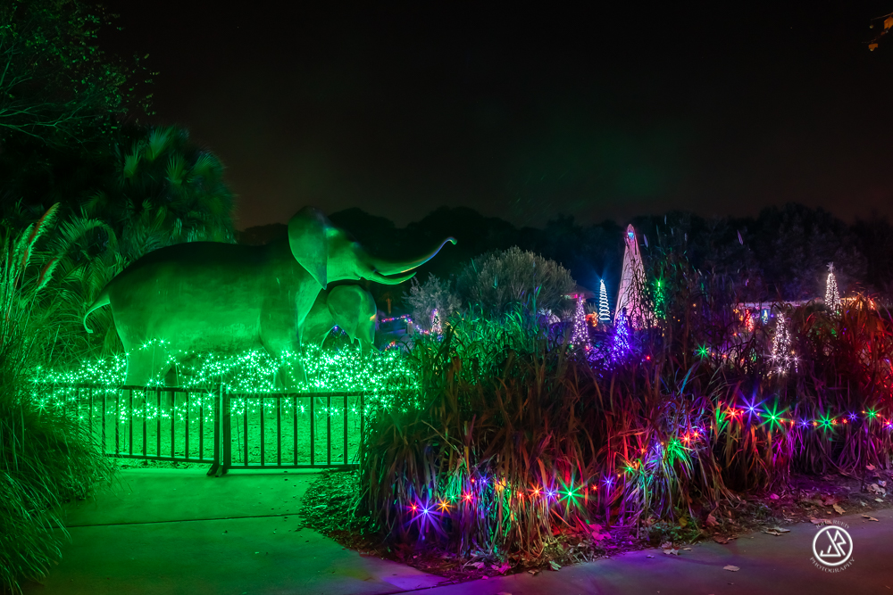 Jacksonville Zoo and Gardens to hold ‘ZOOLights’ event