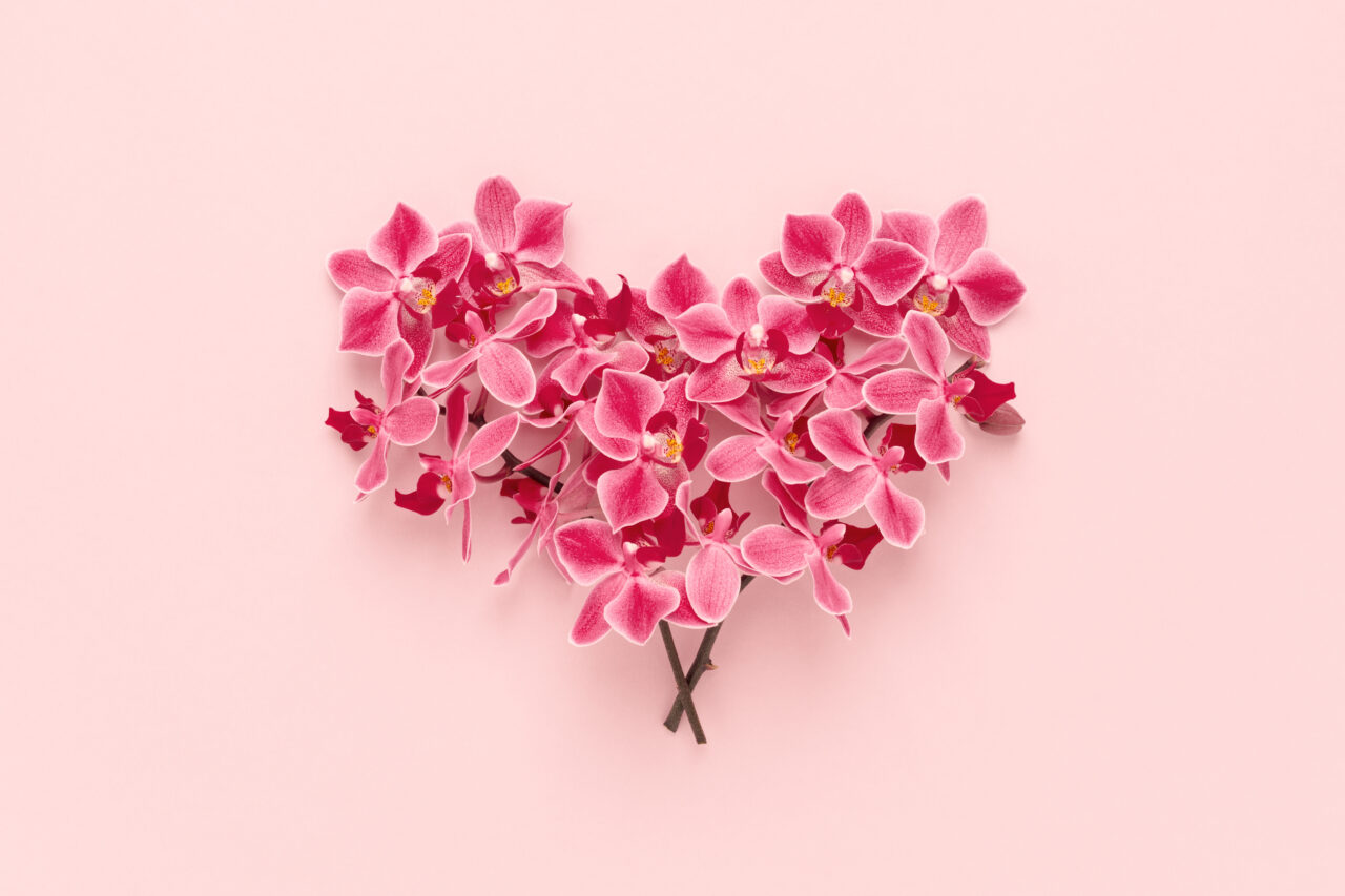 Orchid flowers bouquet in heart shape on pink Valentines day background.