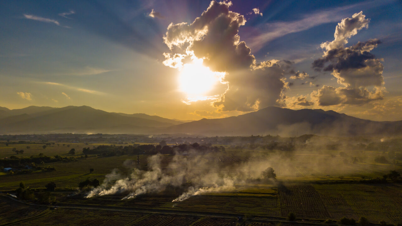 Aerial view. The morning sunrises with dry grass is burning on t