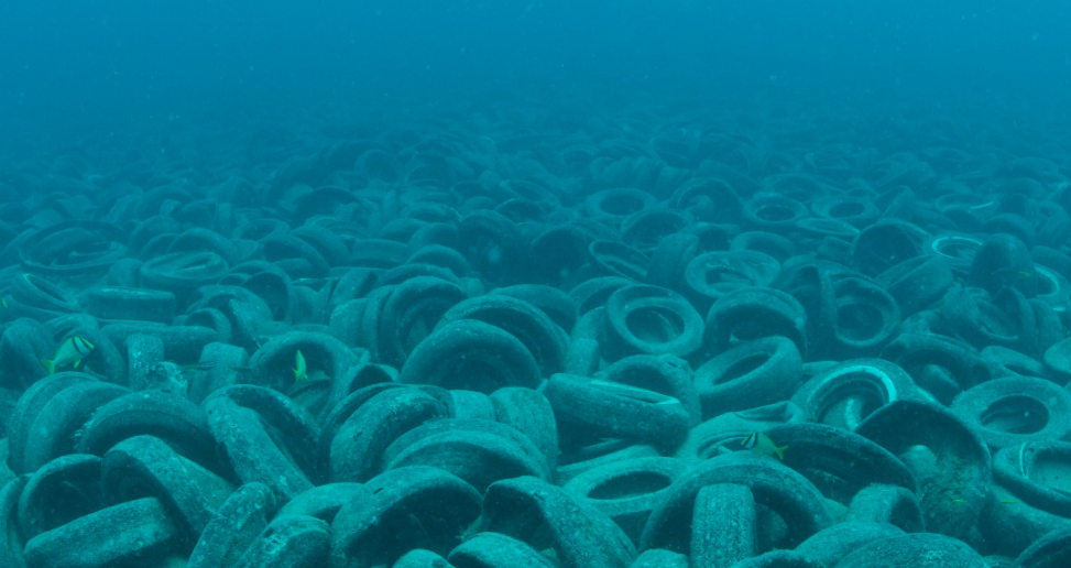 osborne reef