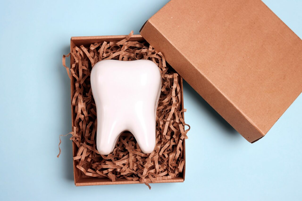 Tooth model in a box with brown shredded paper on blue backgroun