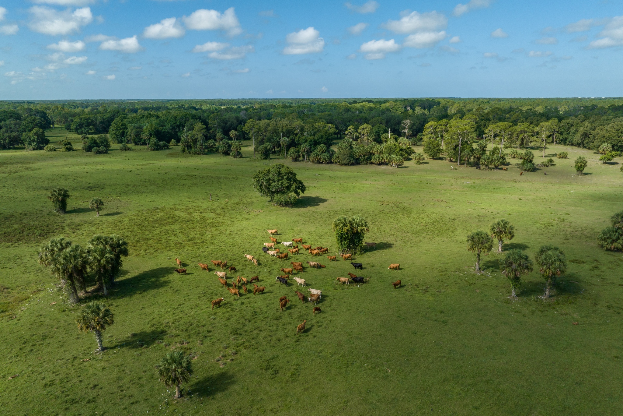 Thousands Of Acres Preserved Under U S Florida Land Conservation Programs