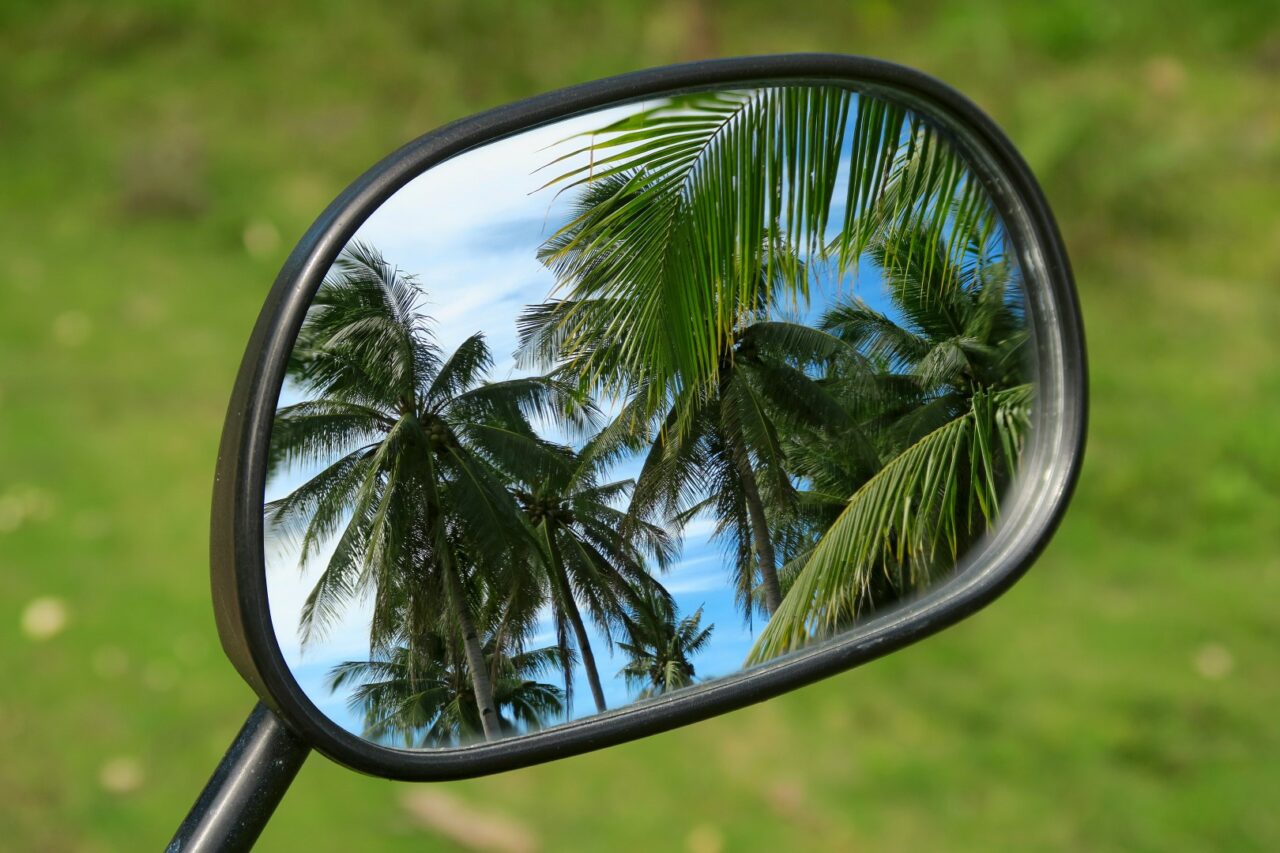 Palm trees reflection in motorbike mirror
