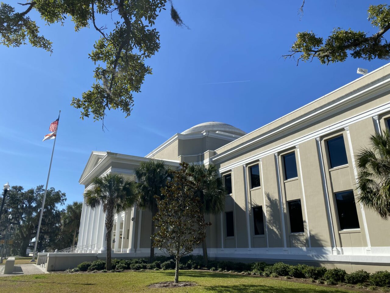 Florida Supreme Court -- Michael Moline FL Phoenix