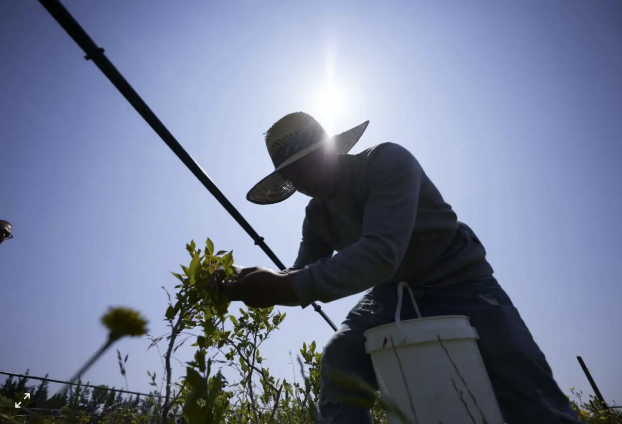 Farm-worker-AP-1280x874.jpg