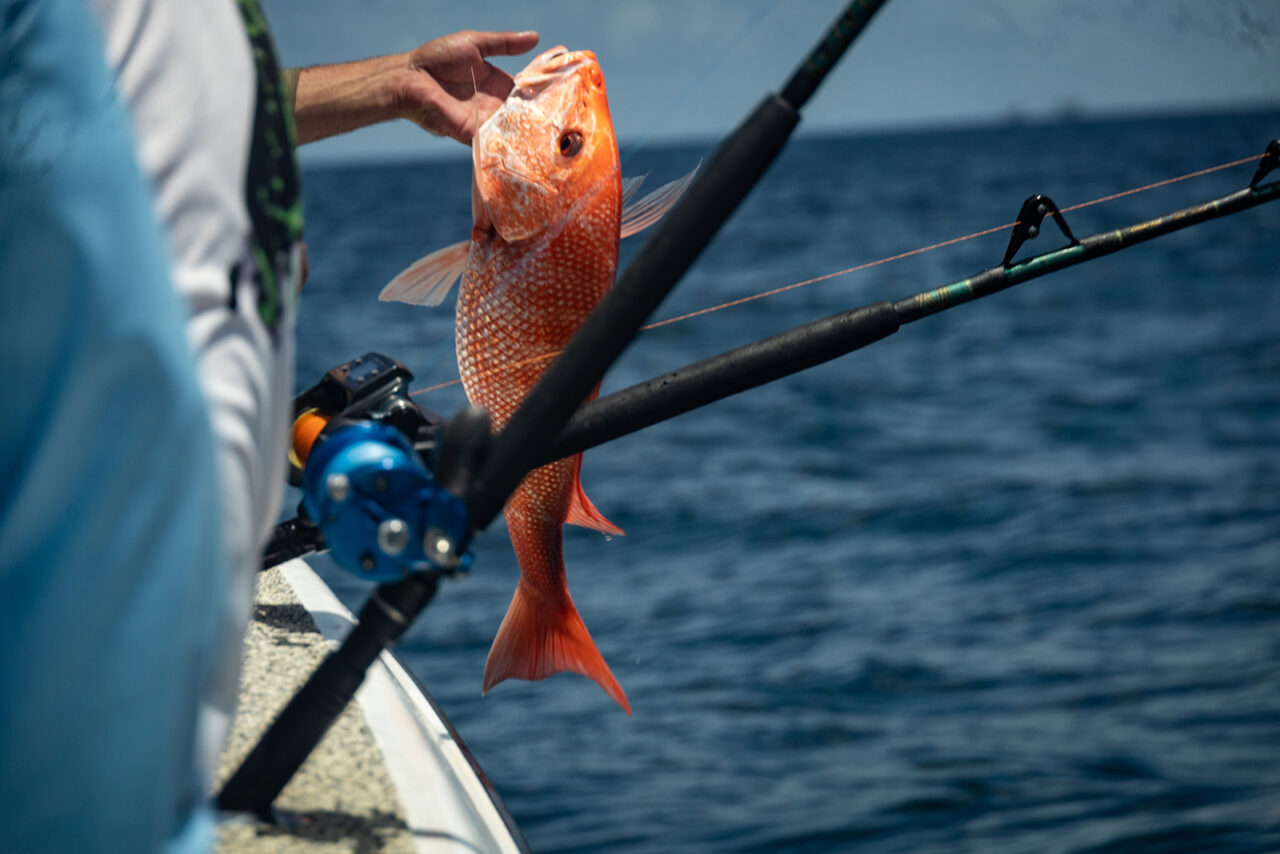 Fishing Gulf of Mexico Red Snapper Offshore Rods