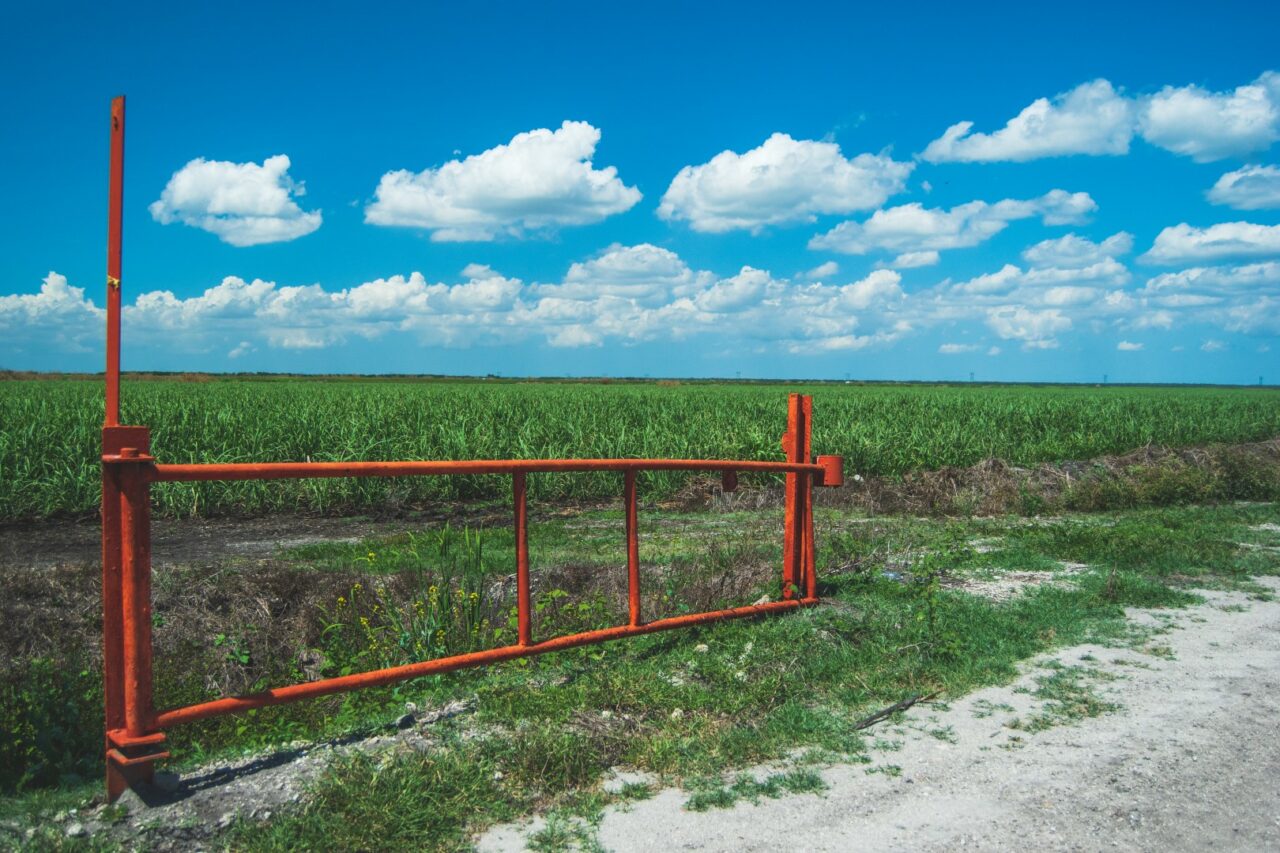 An orange gate against a bright blue sky with beautiful puffy white clouds overlooking a massive sugar cane field in central florida.