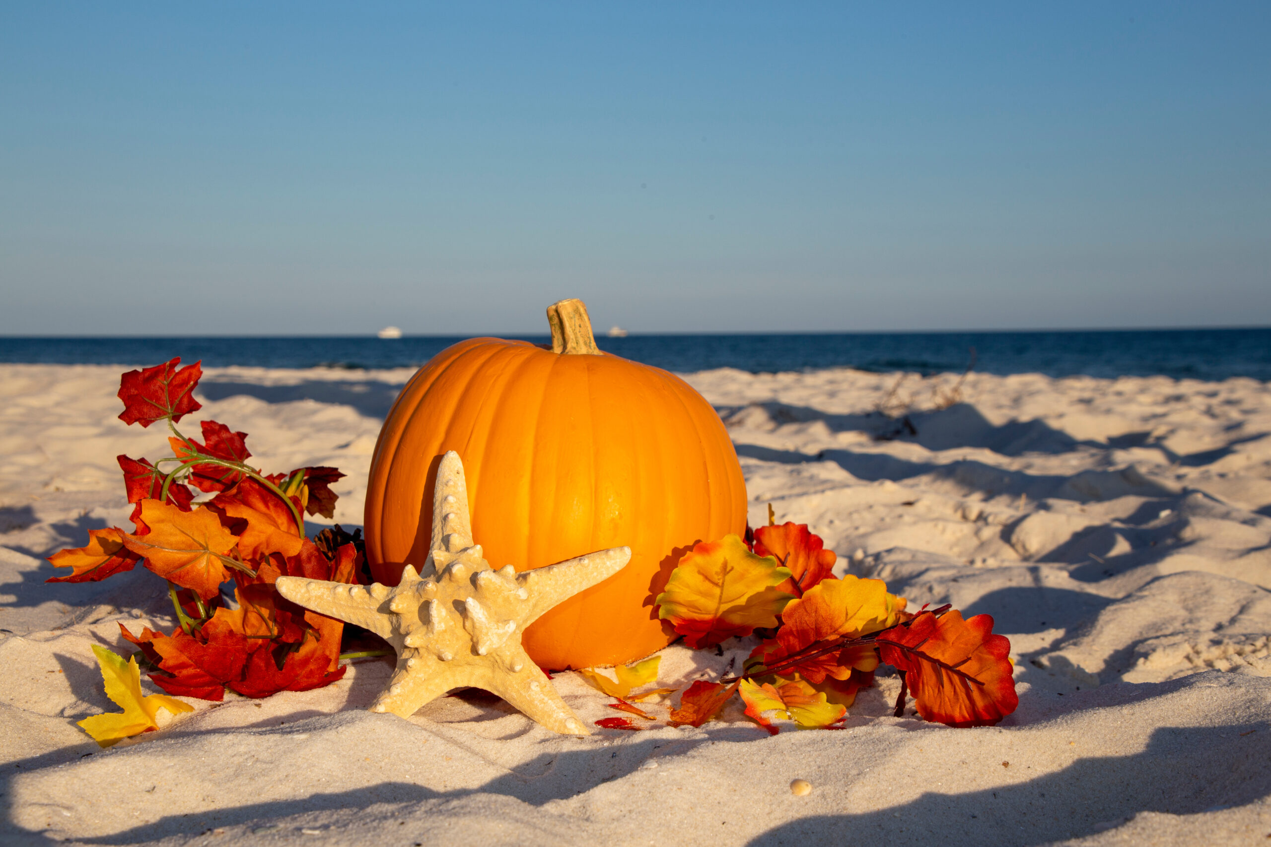 Who says Florida doesn’t do Fall? Find some autumnal foliage at a