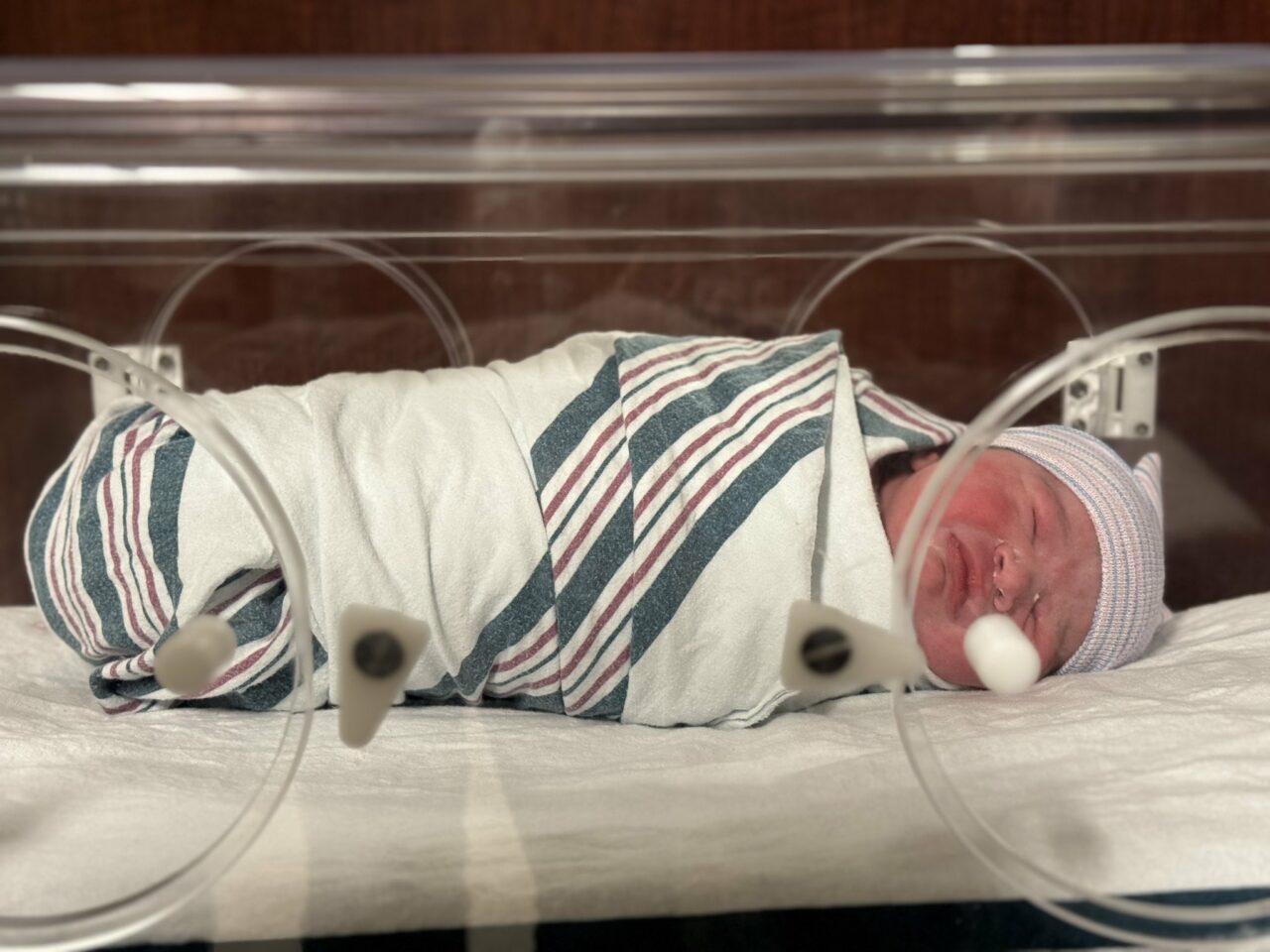 perez-baby-1280x960.jpg