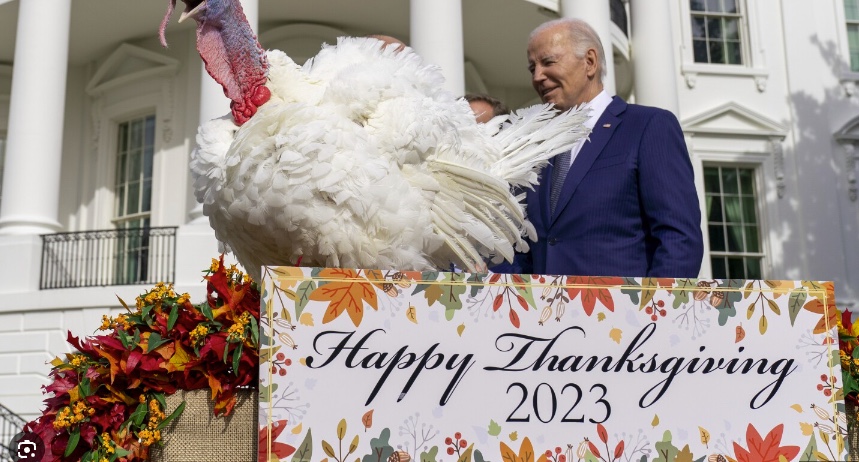 Joe Biden pardons national turkeys