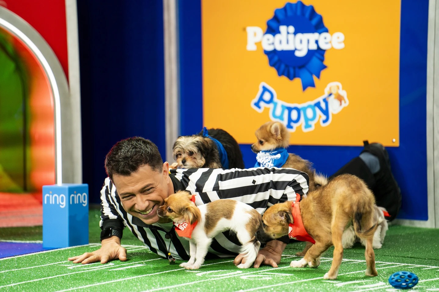 ‘Puppy Bowl’ celebrates a big anniversary this year, one that shelter