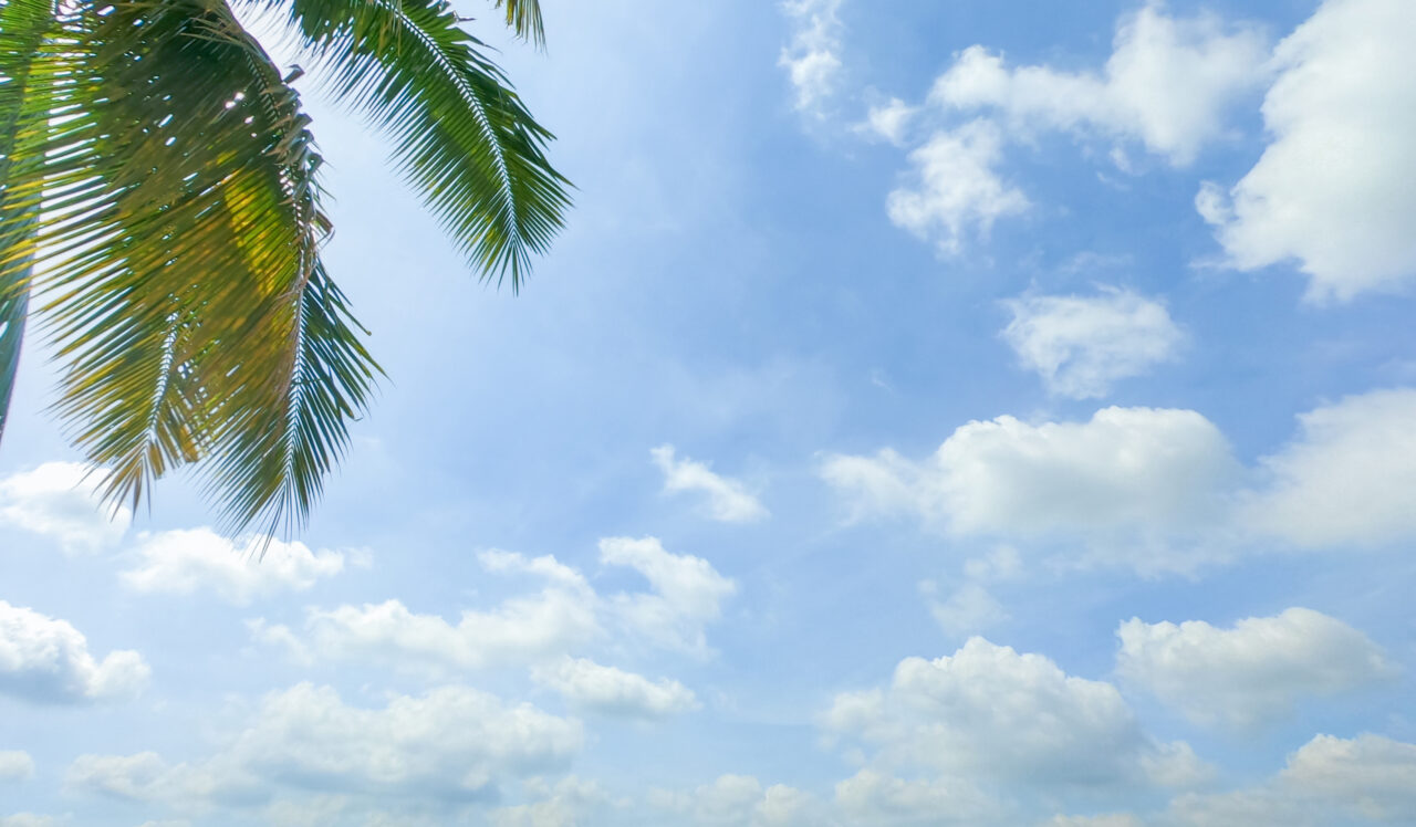 blue sky horizontal beautiful fluffy cirrocumulus clouds in clear sunny summer season with palm or coconut tree, good weather for out door screen, skycap nature background
