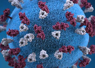 measles-virus.jpg