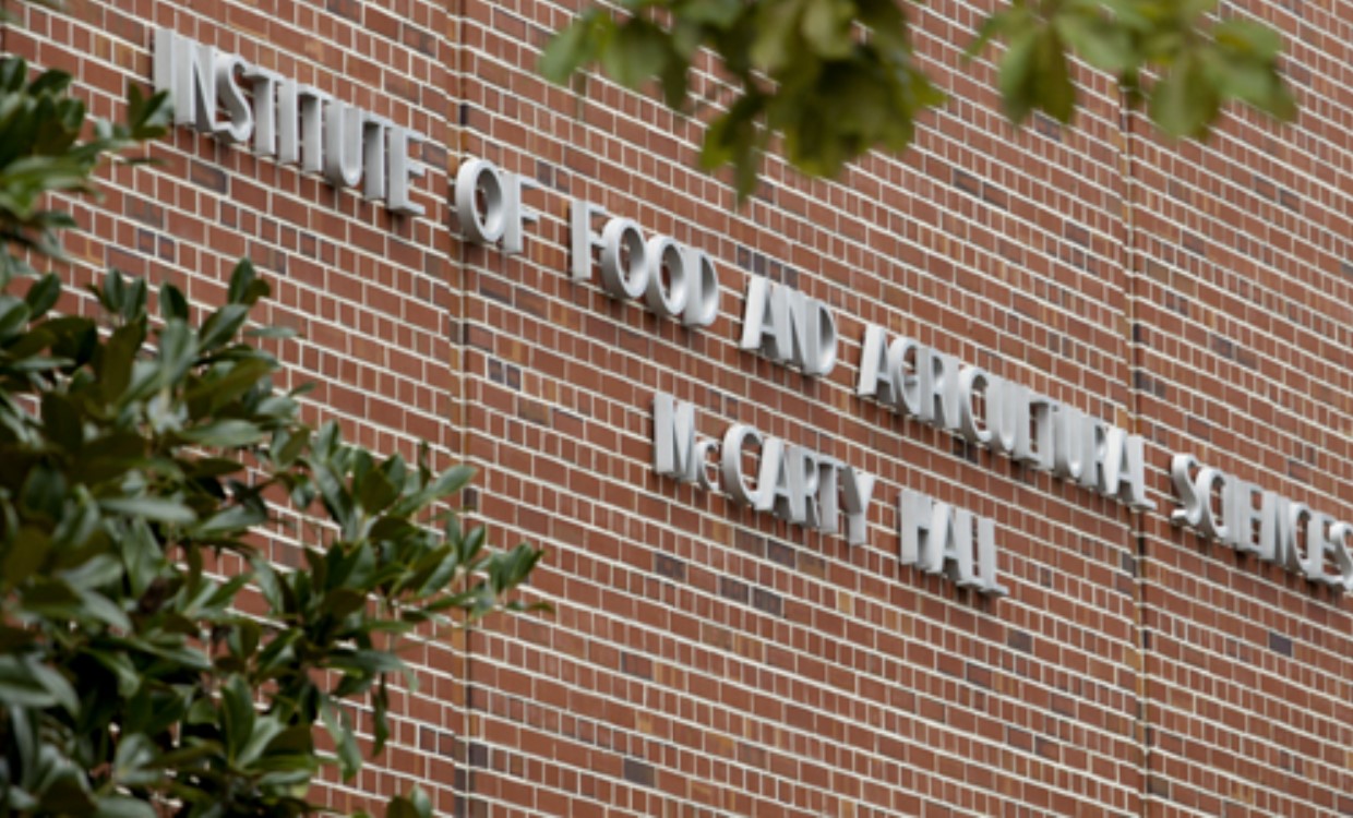 University-of-Florida-INstitute-of-Food-and-Agricultural-Sciences-UF.jpg