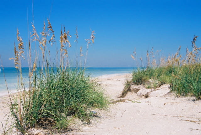 Honeymoon Island