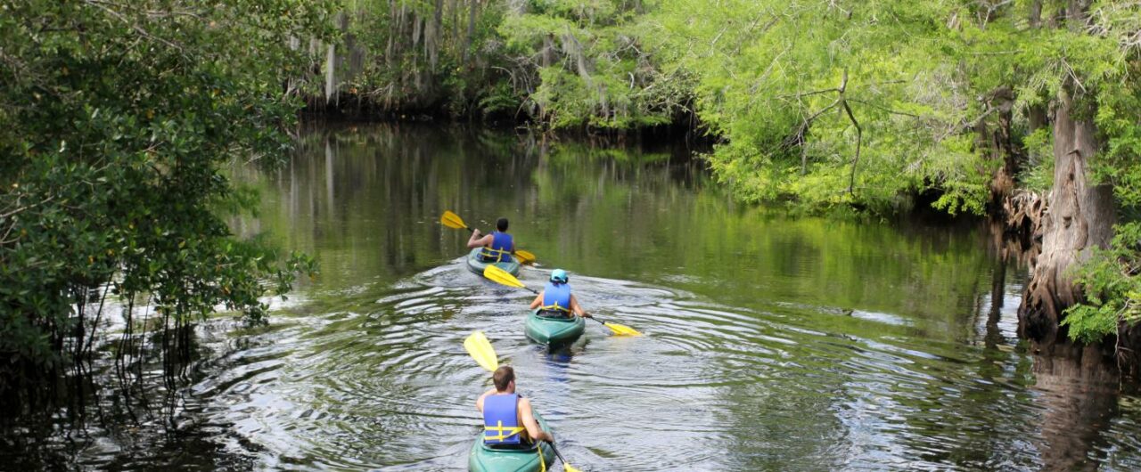 Jonathan Dickinson State Park_employee_Doug Alderson_centralDRP_paddlers on Kitching Creek