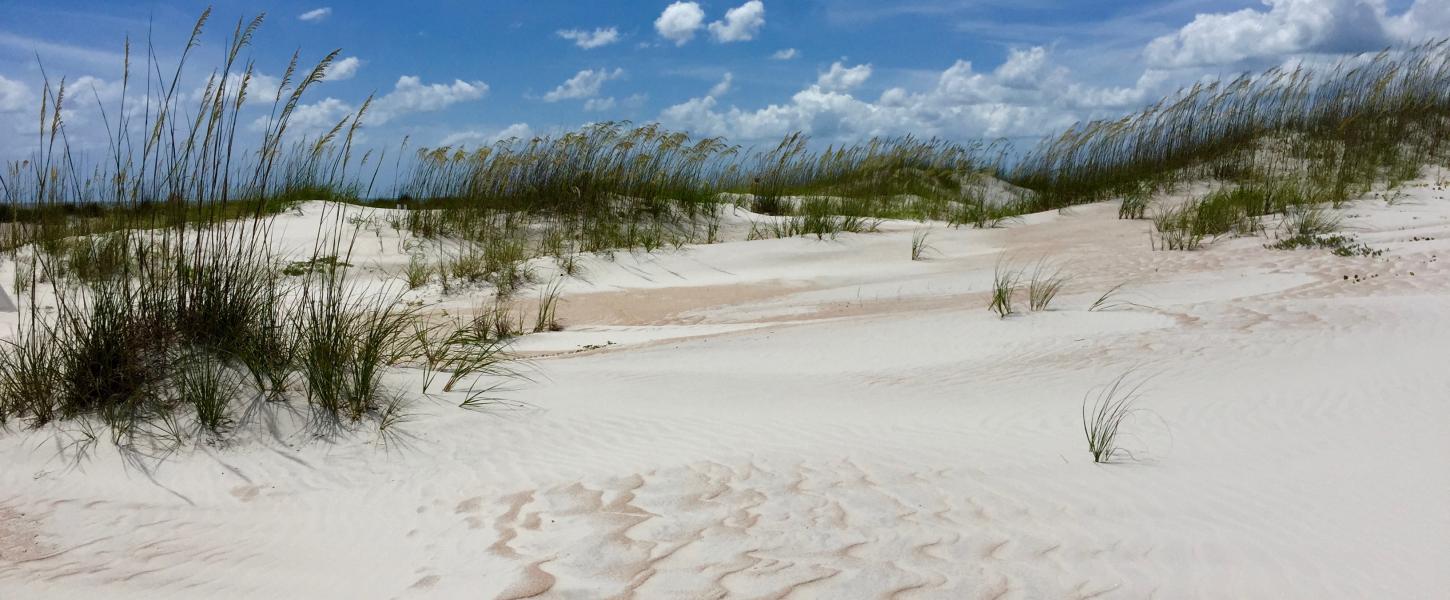 DEP plan for 350-unit lodge in Anastasia State Park faces growing opposition on First Coast