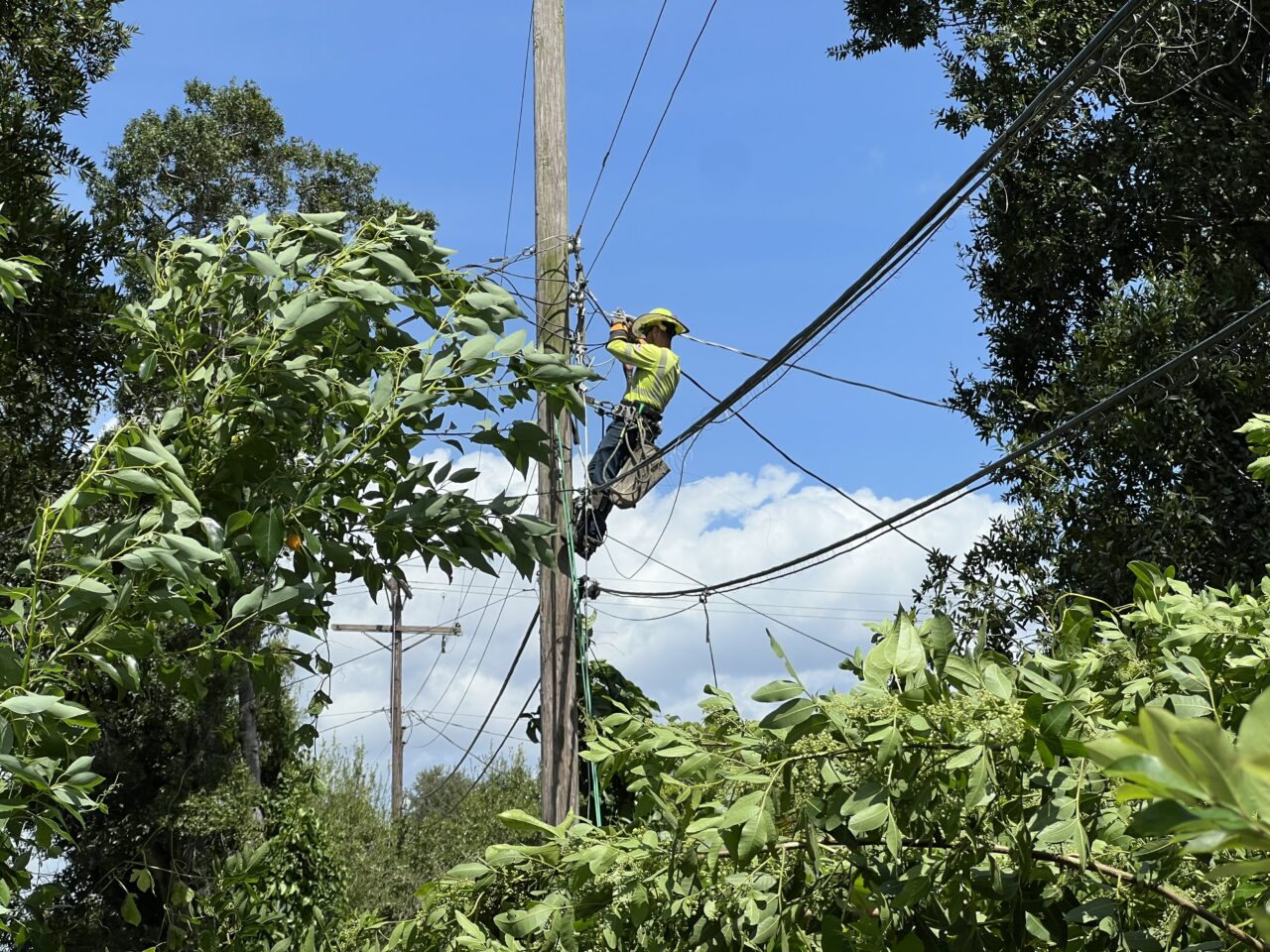 TECO Hurricane Hele