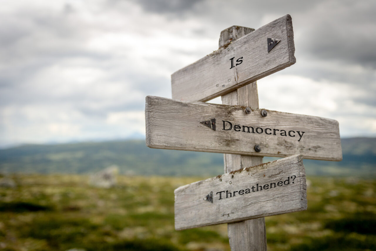 is democracy threathened text on wooden signpost outdoors in nature