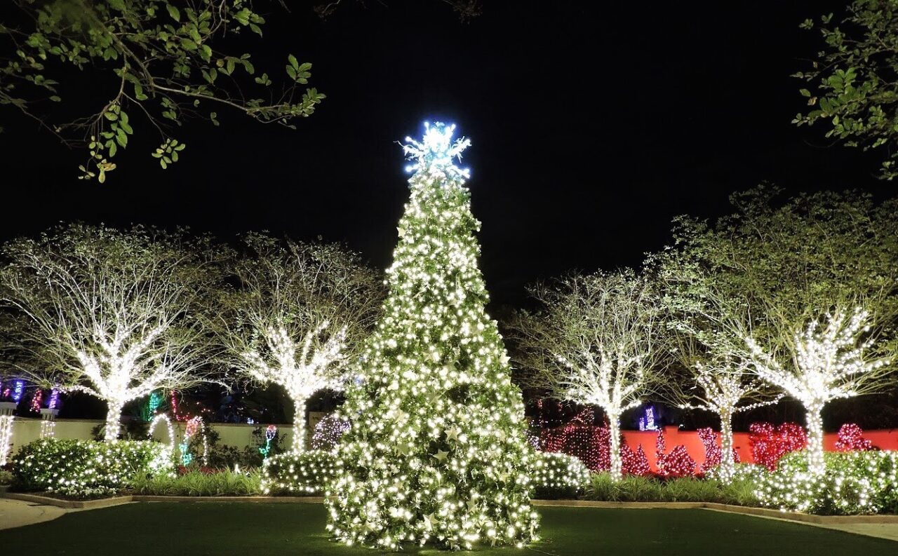 Florida Botanical gardens