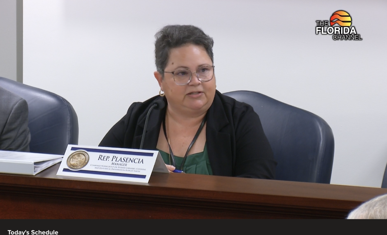 Rep. Susan Plasencia at a Feb. 11 meeting