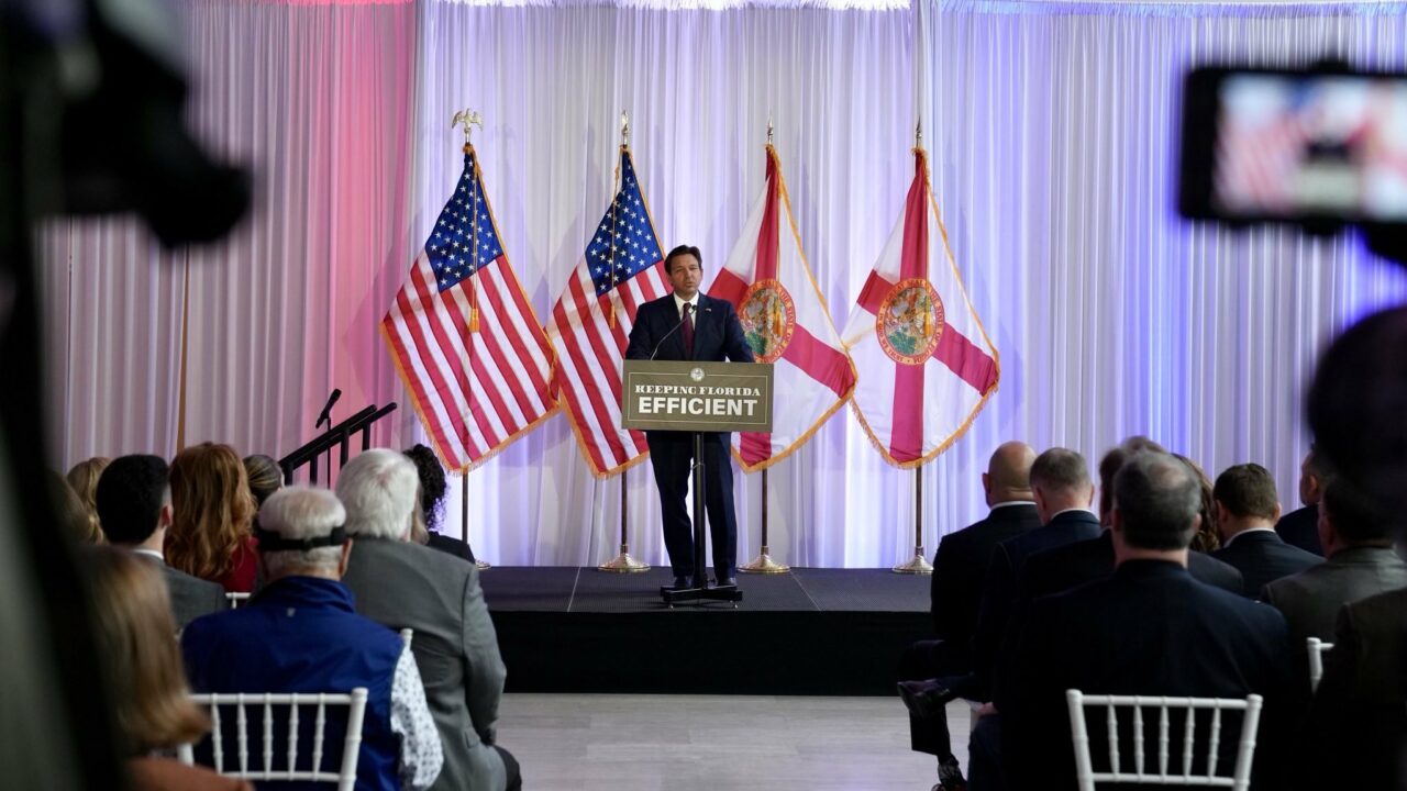 desantis doge