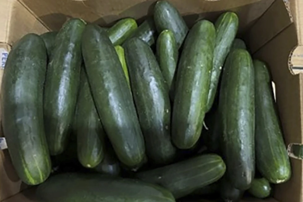 Cucumbers
