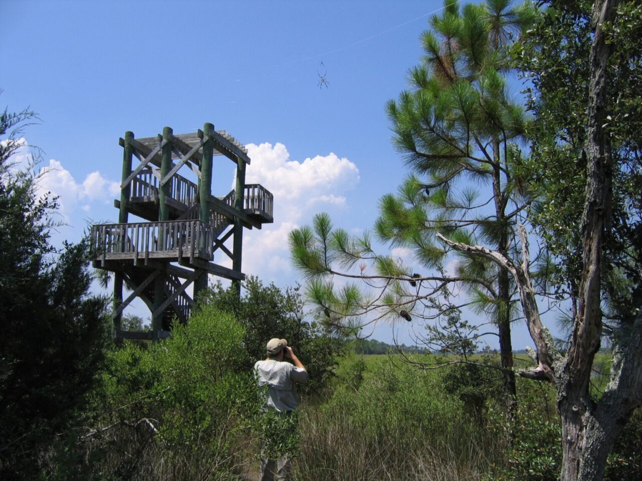 Guana RIver Wildlife Management Area