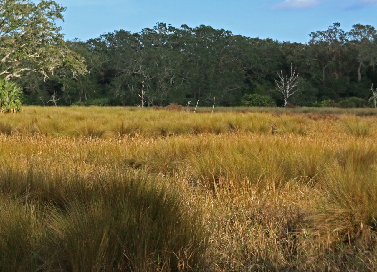 Guana River WMA