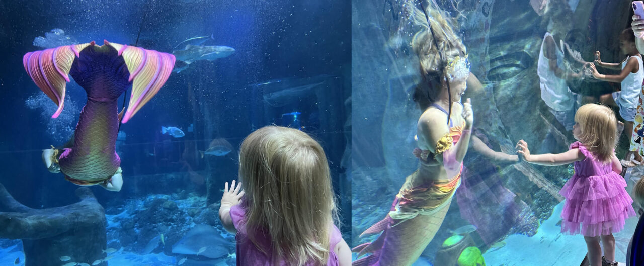 Traveling mermaid exhibit at Sea Life Orlando Aquarium