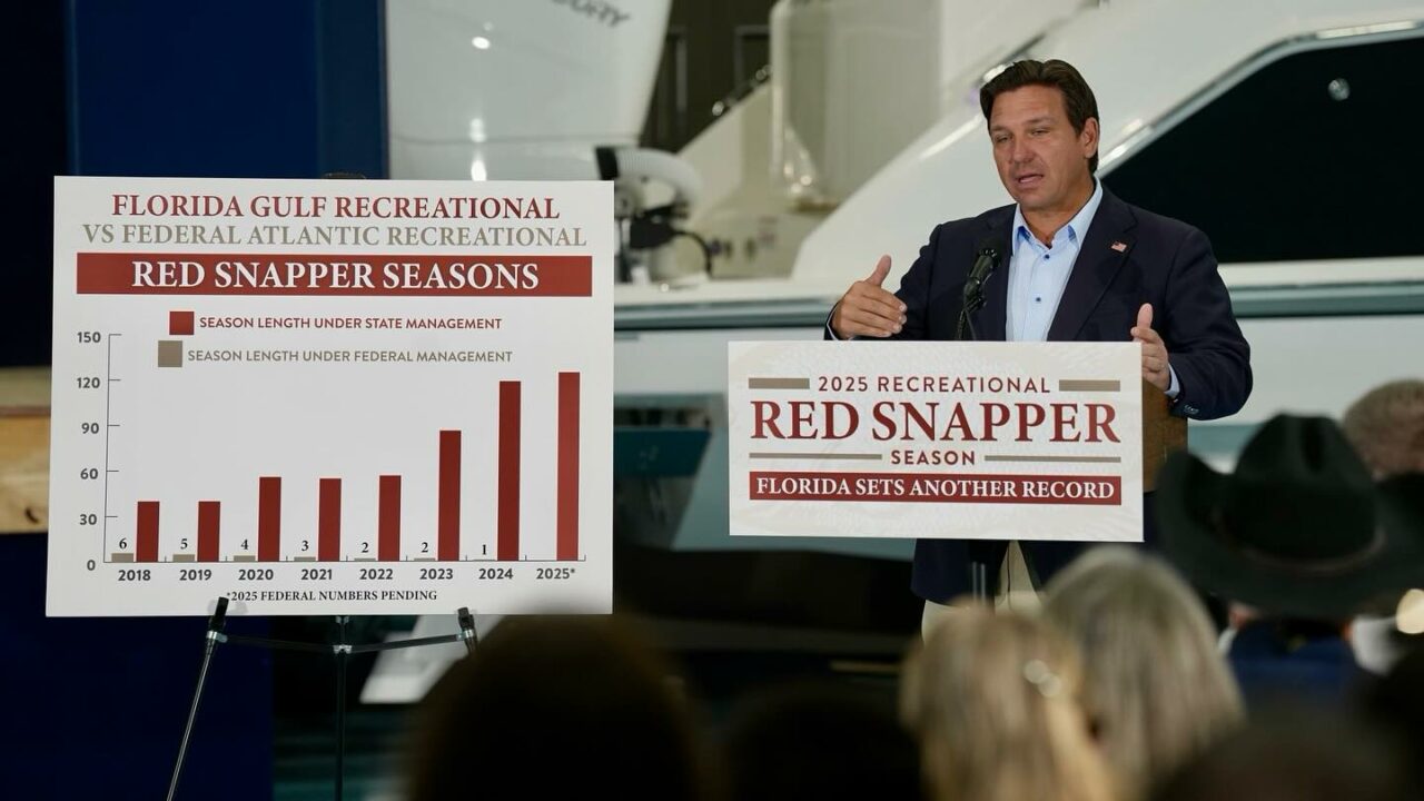desantis-red-snapper-instagram-1280x720.jpg