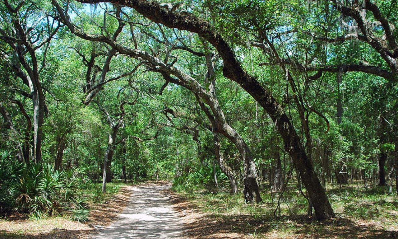 guana preserve