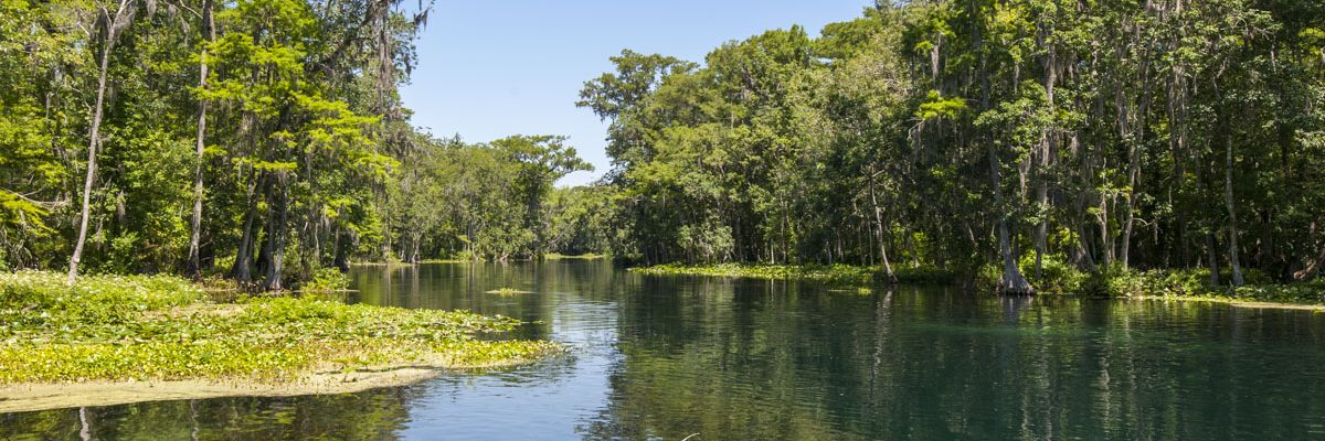 Ocklawaha River (St Johns River Water Management District)